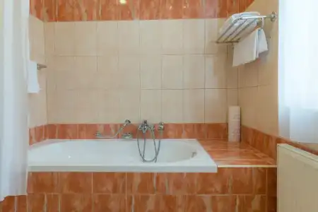 Danubius Health Spa Resort Centrální Lázne - 36