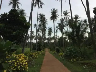 Naivacha Tent Koh Mak - 14