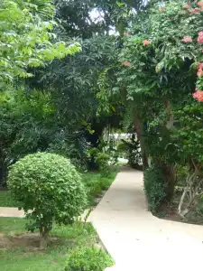 4u Resort Samui - 5