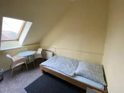 Bigus - 23