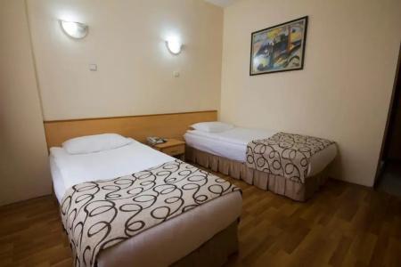 Acikgoz - 19