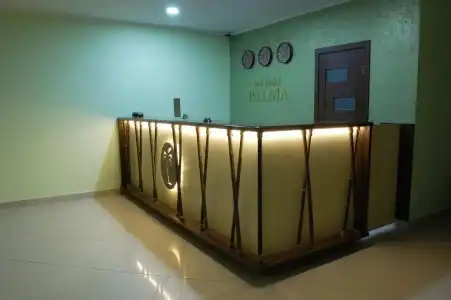 Art Palma - 11