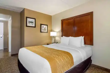 Spark by Hilton Atlanta Airport South College Park - 77
