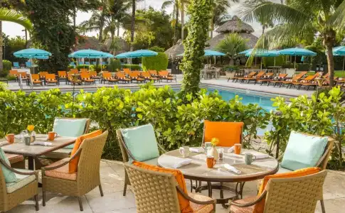 The Palms & Spa - 36