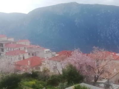 Castri - 82