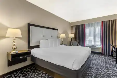Best Western Plus Laredo Inn & Suites - 23