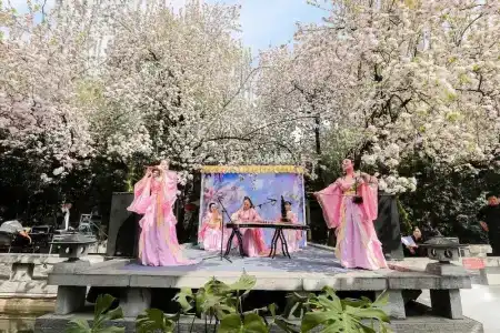 Tang Dynasty Art Garden - 30