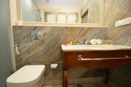 Virasat Mahal Heritage - 7