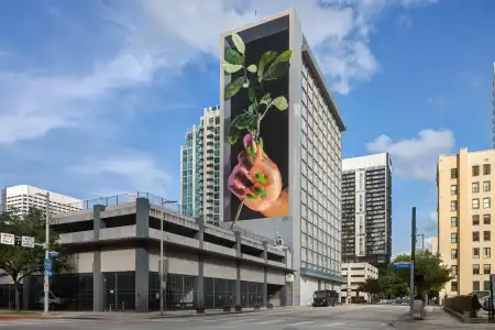 Holiday Inn Houston Downtown by IHG - 39