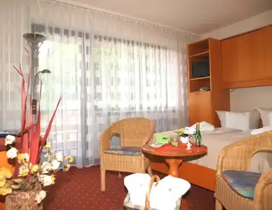 FerienSchwarzwälder Hof - 5