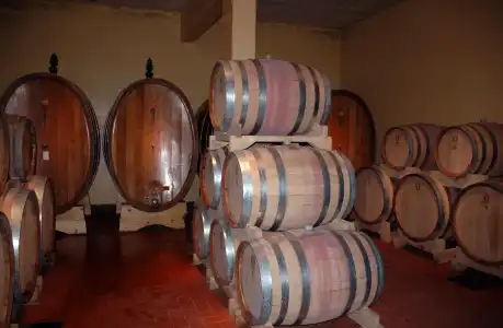 Tenuta Moriano - 11
