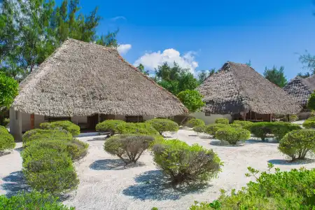 Hakuna Majiwe Beach Lodge - 19