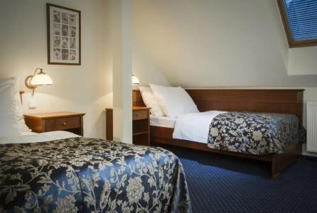 OREA Spa Bohemia Mariánské Lázně - 46