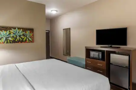 Holiday Inn Express & Suites Indio - Coachella Valley by IHG - 21
