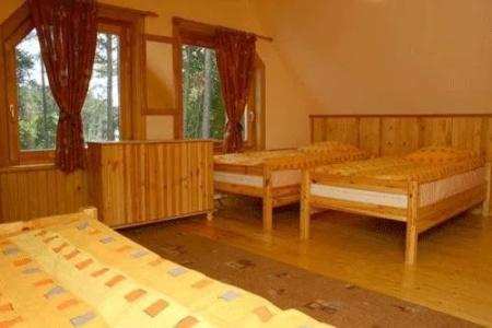 Melnais Starkis - 3