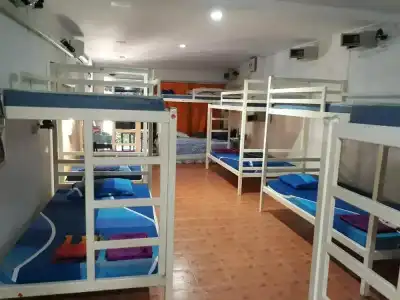 Hangover Hostel - 10
