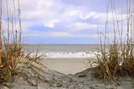 Tides Folly Beach, Charleston's Oceanfront - 36