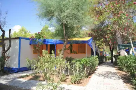 Villaggio Capo Vieste Camping - 36