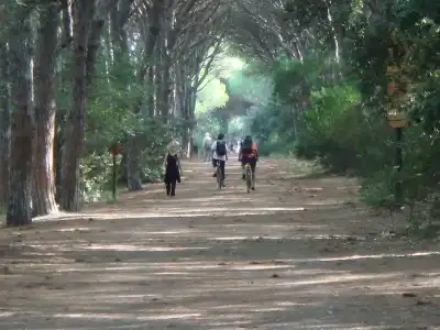 Camping Le Tamerici - 10