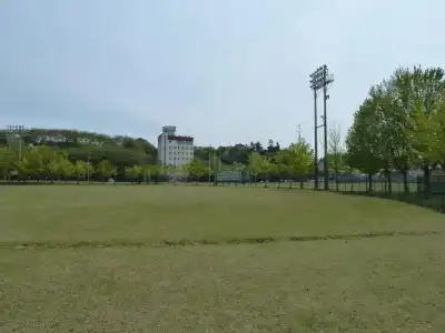 New Umeya - 17
