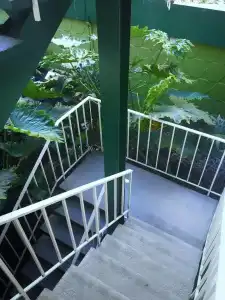 Oasis Inn - 10