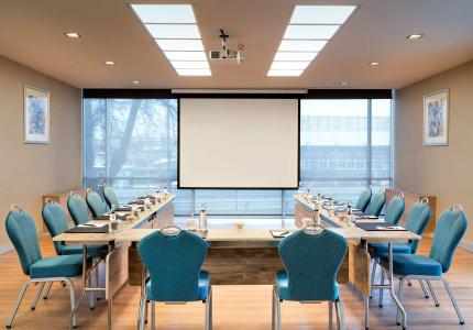 Radisson Blu, Ankara - 17