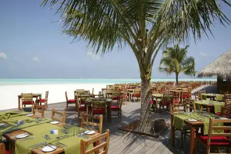 Meeru Maldives Resort Island - 21