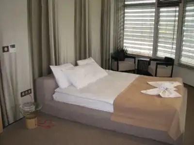 Park & SPA Boyana - 4