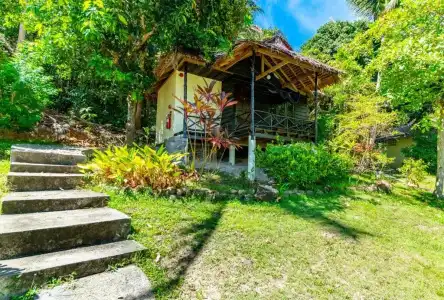 Shiralea Island Resort - 118