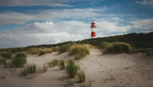 Dorint Strandresort & Spa Sylt/Westerland - 22