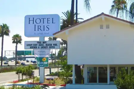 Iris - San Diego - 27