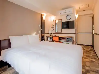 Toyoko Inn Hokkaido Sapporo Susukino Kosaten - 1