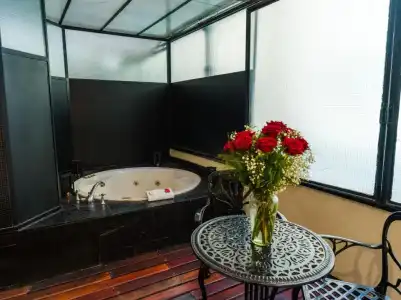 Melia Recoleta Plaza - 42