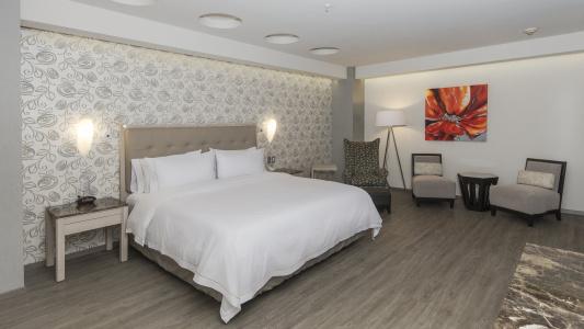 Holiday Inn Express Mexico - Toreo by IHG - 26