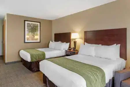 Comfort Inn Lansing West - 23