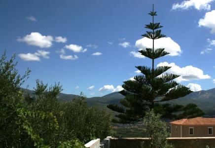 Lagoon View Apartments - Adults Only - 19