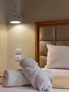 Arial Penthouse Suites - 108