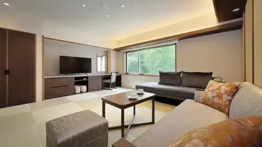 Zao International - 113