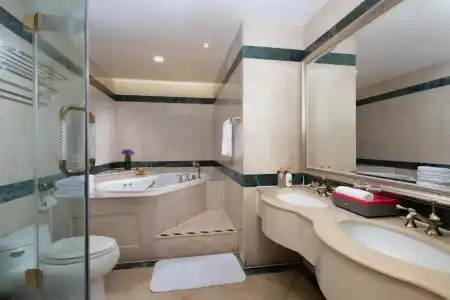 Crowne Plaza Shanghai Nanjing Road by IHG - 45