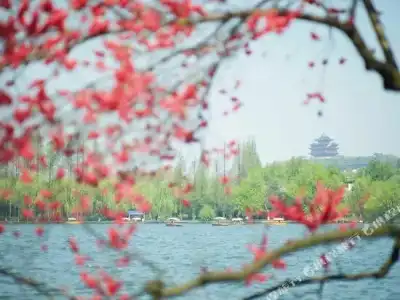 Zhejiang Xizi - 105