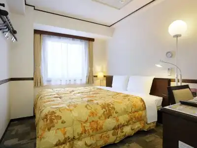 Toyoko Inn Hon Atsugi Station Minami - 35