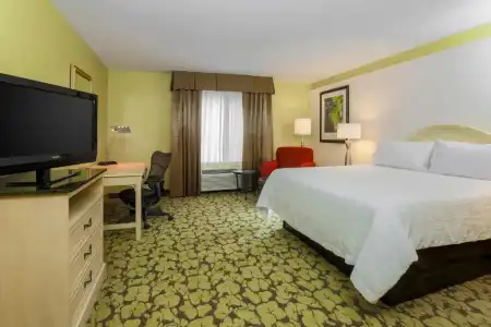 Hilton Garden Inn Tallahassee - 53