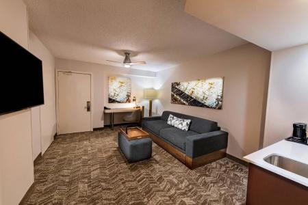 SpringHill Suites Houston Medical Center/NRG Park - 28