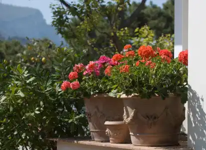 Villa Brunella - 27