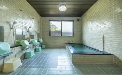 Yamanakako Ryokan RYOZAN - 15
