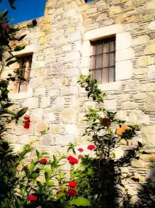 Eski Datca Pansiyon Cafe - 0