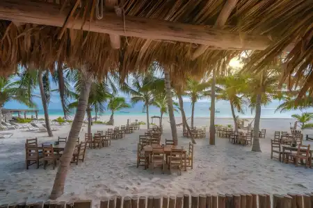 Alito Tulum - 24