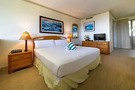 Kapalua Villas Maui - 118