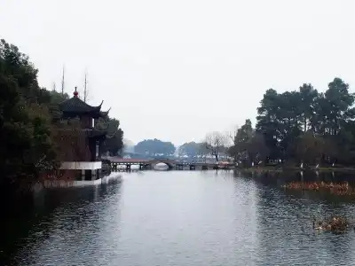 Lotus Glade - 9