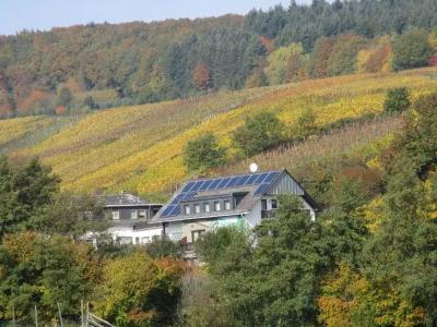 Pension Kühns Mühle - 8